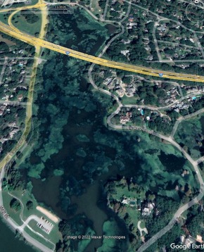 lsu lakes google before