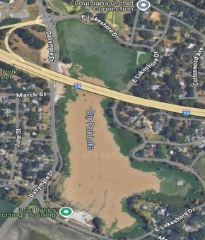 lsu lakes muddy